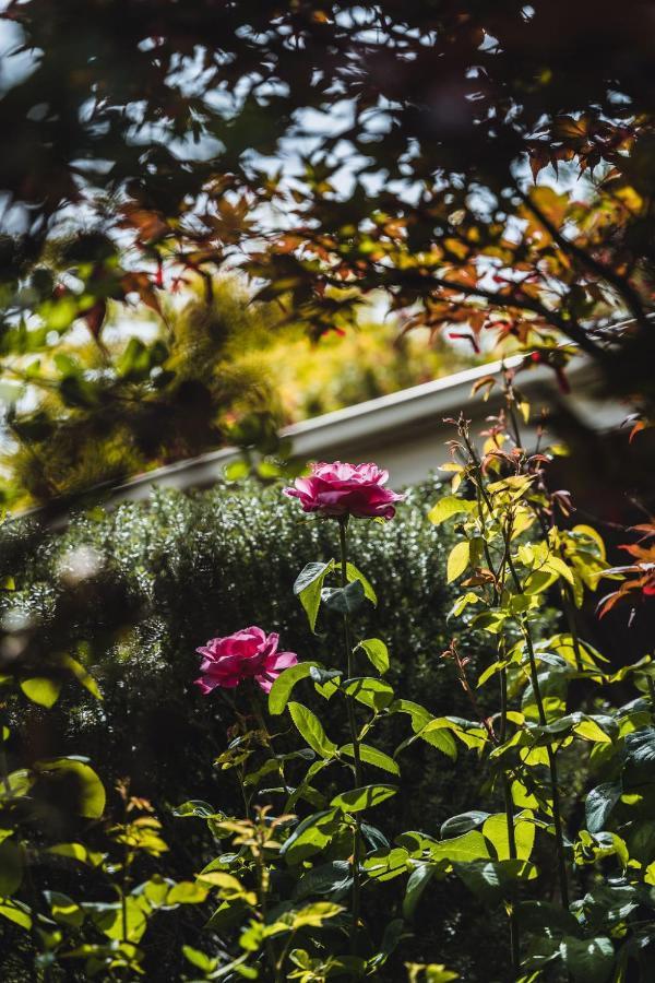 Daylesford Spa Accommodation Dış mekan fotoğraf